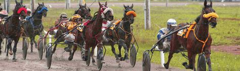 Ocean downs racing  With the impending retirement of track announcer, Frank Salive, Ocean Downs seeks the services of a highly qualified individual to announce the harness racing for the 2023 live race meet